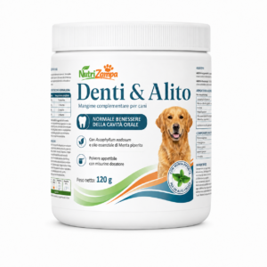 Denti & Alito